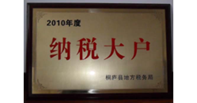 2010˰
